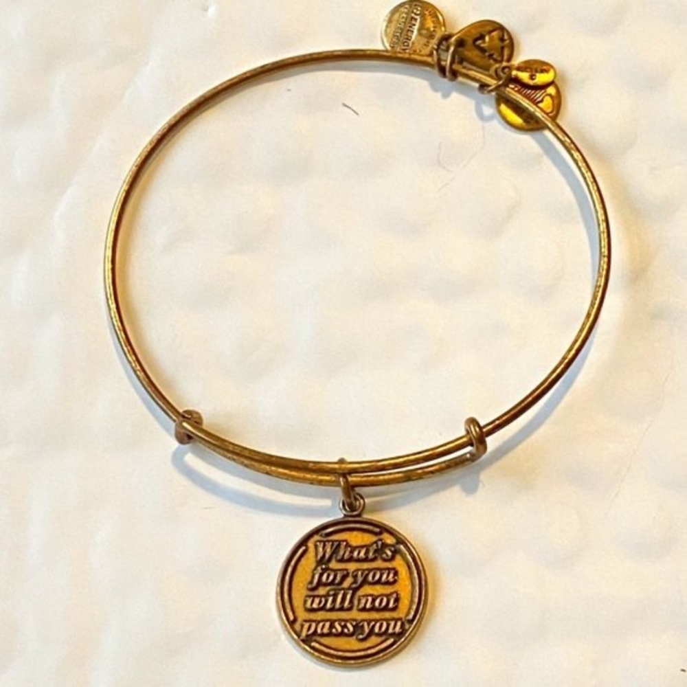 NWOT alex & ani bangle, one size